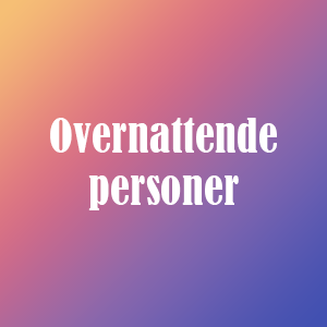 Adgangsbillet til overnatning
